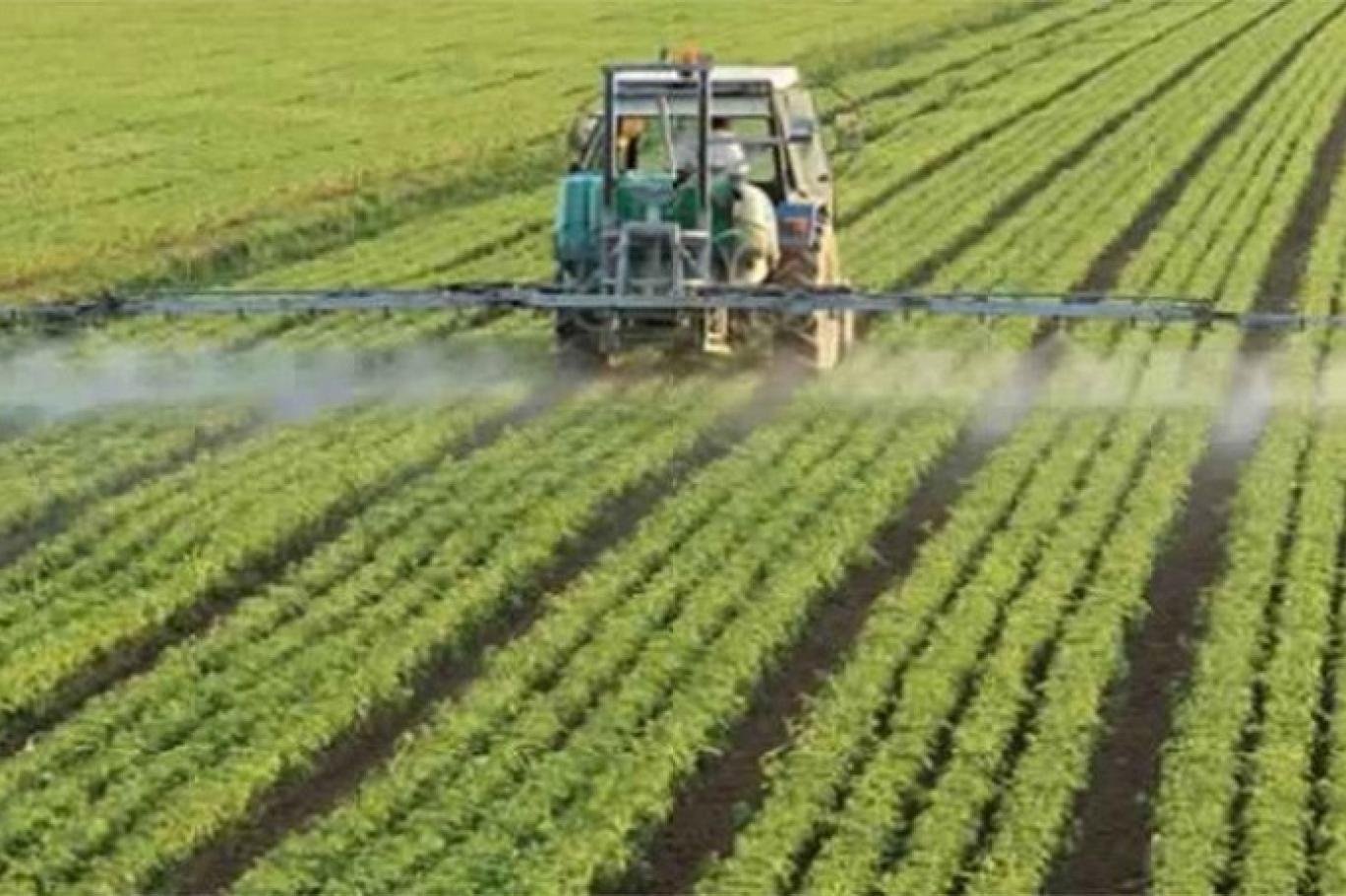 وزير الفلاحة يكشف خطّة دعم النشاط الفلاحي في مواجهة الجفاف